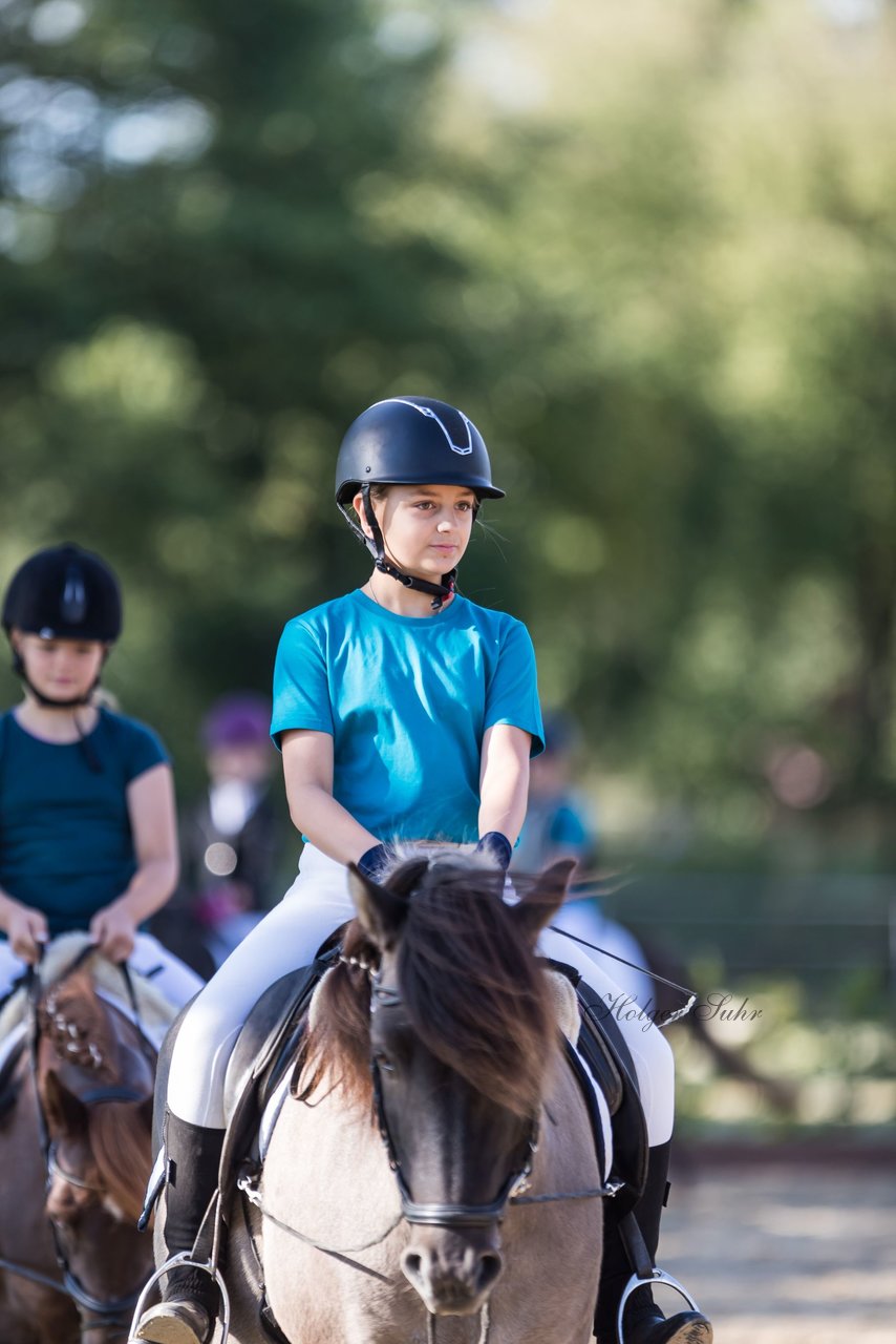 Bild 1 - Pony Akademie Turnier